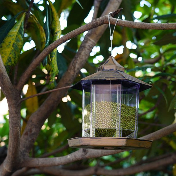 Comedero para pájaros para colgar en el exterior, semillas de aves para  exteriores, comederos para pájaros silvestres para jardín y patio,  decoración