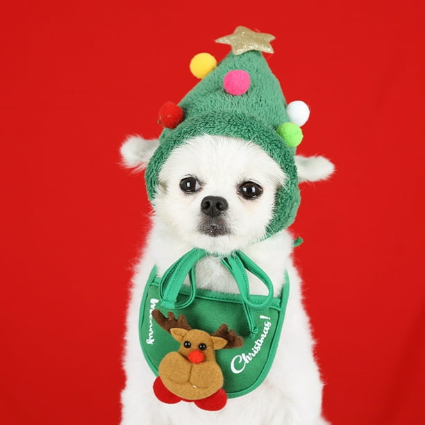 Gorro De Cumpleaños Para Perros Likrtyny Libre de BPA