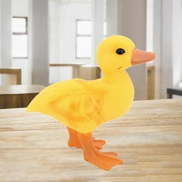 Pato de goma flotante y chirriante, juguete de baño para bebé Ducky para  niños (12 piezas) Rojo Verde Cocina, Decoración y Otros