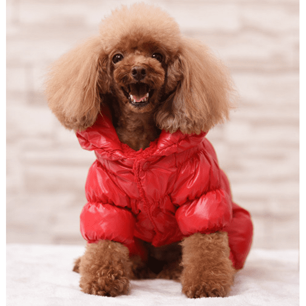 Otoño e invierno, ropa para mascotas, para perros, ropa cálida de algodón para perros de | Walmart en línea