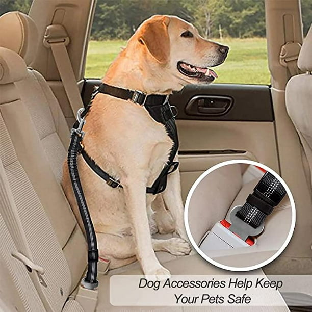  Cinturón de seguridad de coche para perro, cinturón de  seguridad ajustable para perro, cinturón de seguridad portátil, arnés de  seguridad para perro, arnés de seguridad para automóvil, cinturón de :  Productos