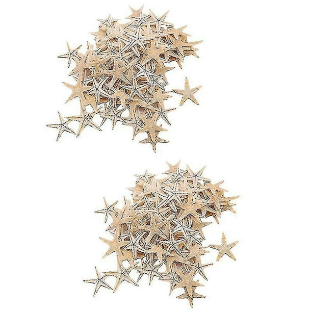 Decoración Estrella De Mar Natural Para 1-5cm 100 Piezas