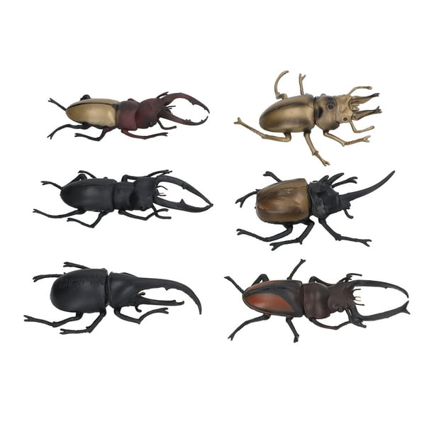 Juguete de insectos, juguete de insectos de simulación de 6 piezas