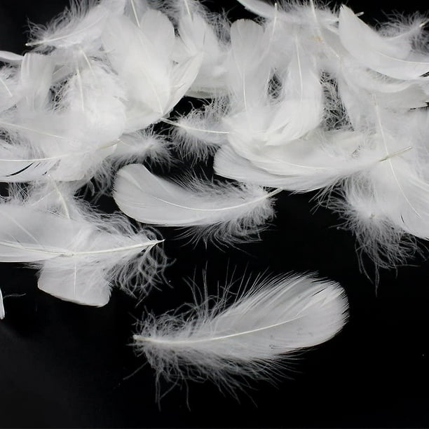 500 Uds. De plumas blancas de 3 a 5 pulgadas para manualidades de  bricolaje, decoraciones para bodas, fiestas en casa