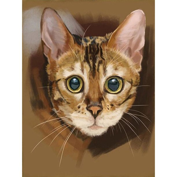 Gato de Colores (Pintura Diamante)