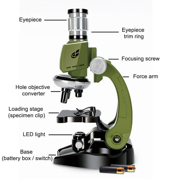 Microscopio para Niños - Deliganga