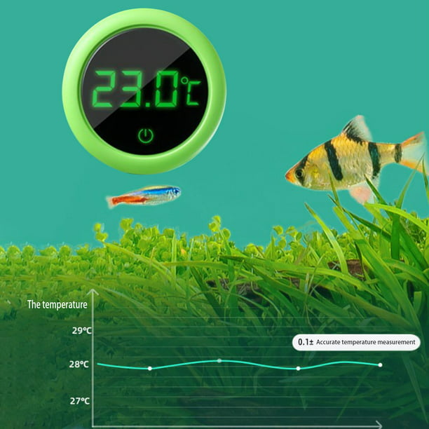 Termómetro digital LCD para acuario, termómetro de tanque de peces con  ventosa, pantalla grande, herramienta de medición de terrario de agua de