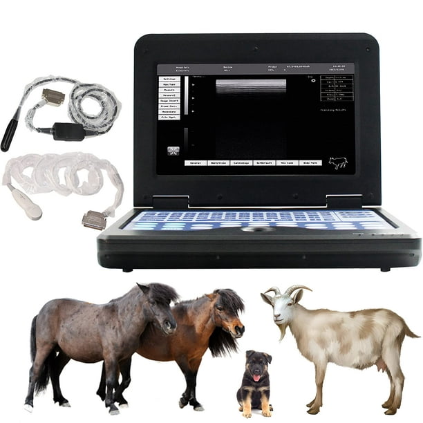 Escáner de ultrasonido veterinario portátil para control de embarazo en  animales, caballo, equino, cabra, oveja, perro con sonda convexa brillar  Electrónica