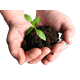 thumbnail image 2 of Tierra Preparada Nutrigarden para Macetas y Jardineras 1 Kg, 2 of 2