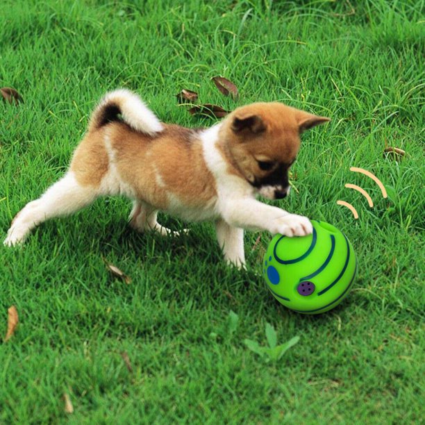 Juguete interactivo con rueda para perro, juguete divertido para