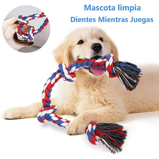 QDAN Juguetes de cuerdas para perros con correas, juguetes interactivos  para perros para tira y afloja, regalos de cumpleaños para cachorros,  juguete