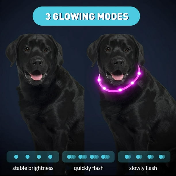 Luces Perros De 4 Modos Caminar De Noche, Luz De Collar