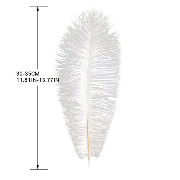 Avestruz Plumas 9 – 13 Blanco apagado plumas de avestruz Drab (Bulk) 1/2 Lb