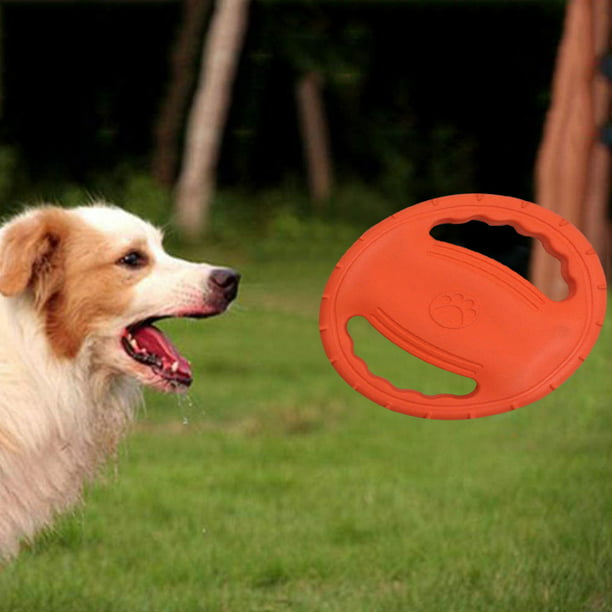 Disc dog' o 'frisbee' con el perro: un deporte divertido para todos