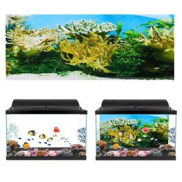 Khall Fish Tank Background Poster, Pvc Fish Tank Poster, Seabed Background For Fish Tank Aquarium 61x41cm 61x41cm