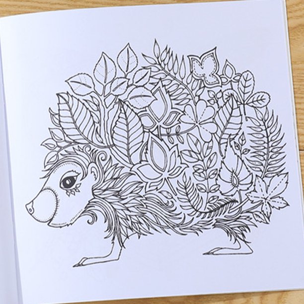 Libro De Colorear De 24 Páginas Para Niños Y Adultos, Libro De  Dibujo/arte/libro Para Colorear, Bosque Encantado, Mandalas, Animales, 4  Uds. - Para Colorear Libro - AliExpress