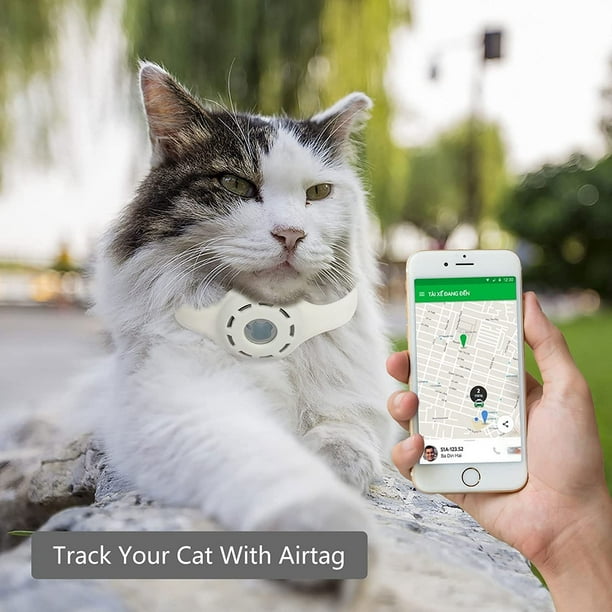 Compre Para Apple Airtag Tracker Casos Contra La Pérdida De Collar De Gato  Collares De Mascotas Para Perros Y Gatos y Collares Para Mascotas de China  por 2.23 USD
