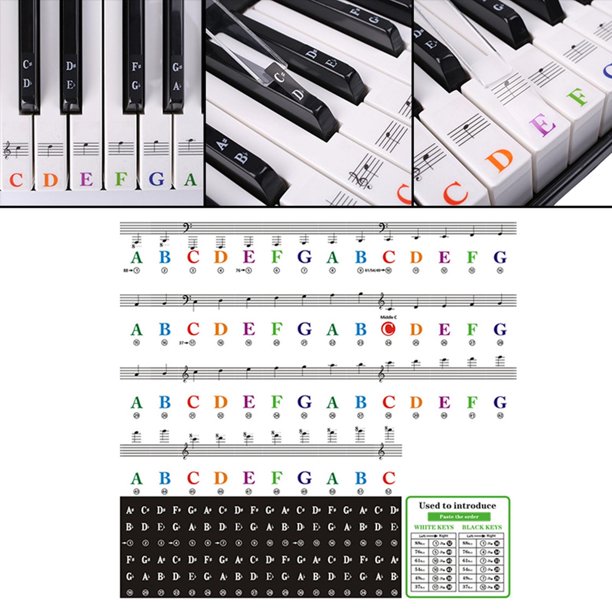 Pegatinas para teclado para teclas 88/61/54/49/37. Letra más