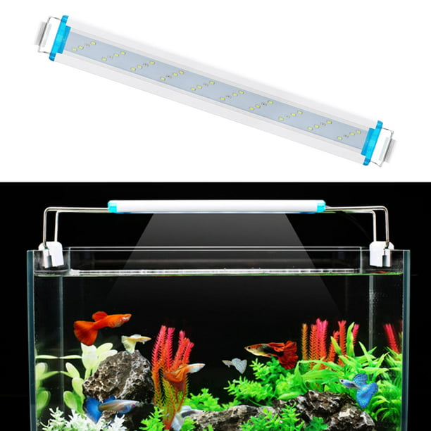 Luz de acuario LED clásica brillante, luz de de de plantas de arrecife con  soportes extensibles, lám Colco Mini lámpara de luz de acuario
