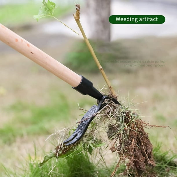 Extractor de malas hierbas fácil de usar herramienta de eliminación de  raíces de césped de jardín (A) Hugtrwg Para estrenar