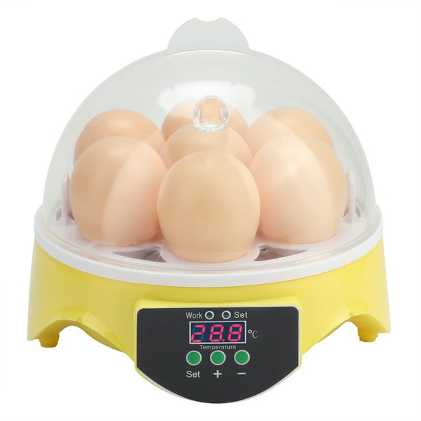 Portero Absorber Oxido Incubadora de huevos, Incubadora digital de huevos completamente automática  Incubadora Mini 7 Egg Ha EOTVIA NO | Walmart en línea