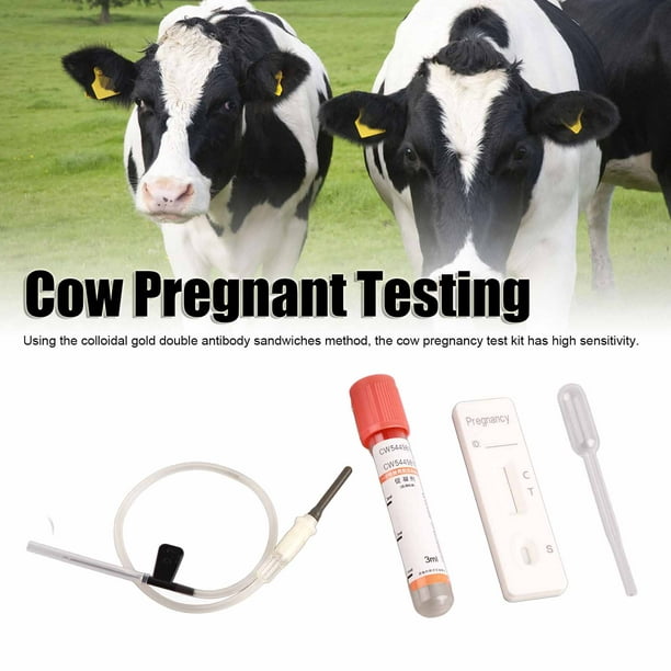 Kit de prueba de embarazo de vaca Herramientas completas Alta sensibilidad  Herramienta de diagnóstico de embarazo temprano rápido y preciso