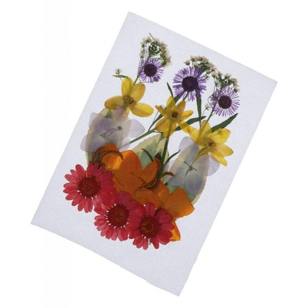 Prensa para hojas y flores | Aúpali