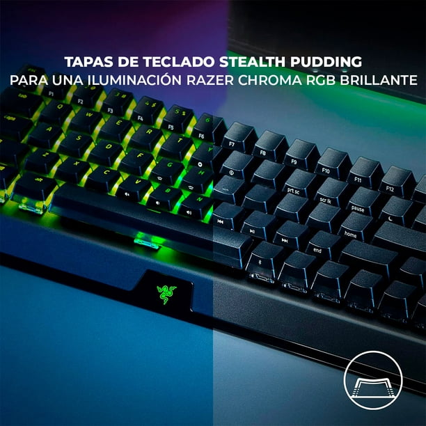 Teclado mecánico inalámbrico para juegos Razer BlackWidow V3 Pro: Teclas  mecánicas verdes - Táctil & Clicky - Iluminación RGB Chroma - Teclas ABS