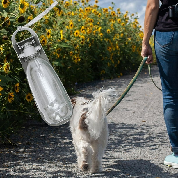 Botella de agua para cachorros, botella de agua portátil para perros,  dispensador de agua para cachorros, comedero para perros, bebedero para