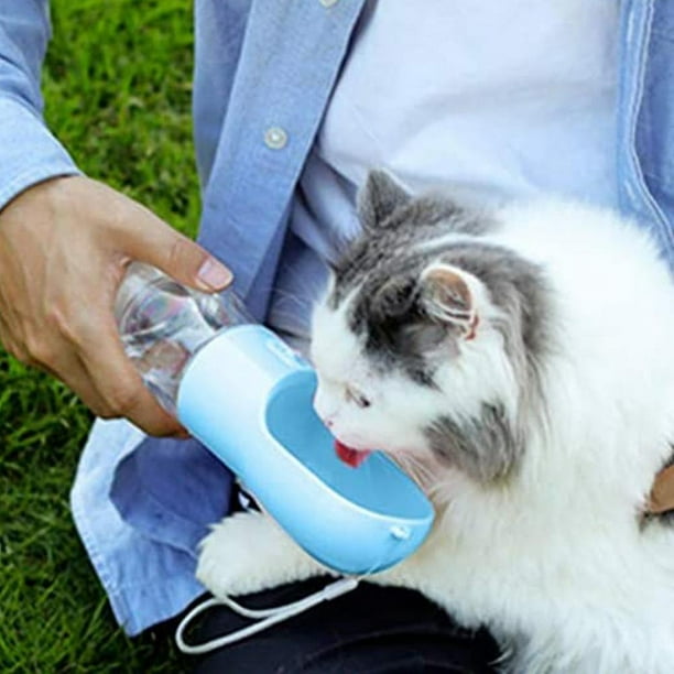 HOOPET-bebedero portátil para perro, taza de agua potable, alimentador de  agua para mascotas, botella de