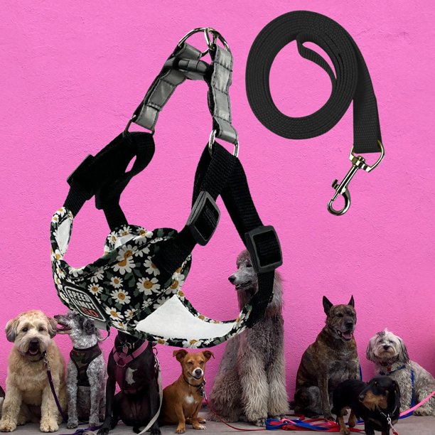 Chaleco reflectante con cuello en el pecho para mascotas y collar guía  reflectante de color rosa, talla M
